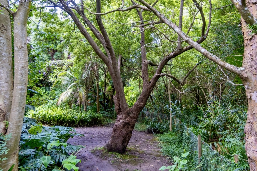 5 Bedroom Property for Sale in Fernridge Western Cape